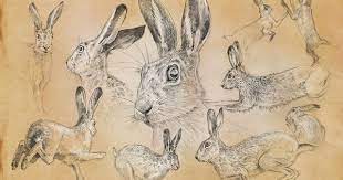 Etude De Lievres Dans Differentes Situations En Liberte Epreuve Affiches Illustrations Posters Par Portraits Dessin D Animal Croquis Dessin Art Animalier