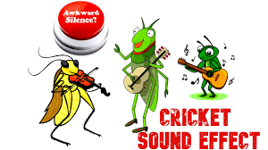 Awkward Silence Cricket Sound Gaming Sound Effect Cricket Sound Effect Youtube