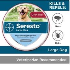 Check spelling or type a new query. Top 6 Best Dog Flea Tick Collars In 2021 Pet On Bed