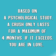 For your lovely lady, your good morning messages for her should show her how special she is. 2021 130 Best Funny Love Quotes With Images Love And Fun Quotes