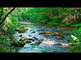 15,045 likes · 136 talking about this. Musica Relajante Para Descansar La Mente Relajarse Y Dormir Youtube Musica Para Meditacao Musica Para Relaxar Musica Relaxante