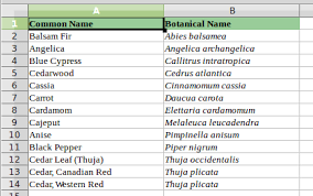 Authors without initials‎ (4 p) a. Libreoffice How To Align A Set Of Names In Alphabetical Order Using Libre Office Ask Ubuntu