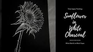 Check spelling or type a new query. Sunflower In White Charcoal White Sketch On Black Paper Youtube