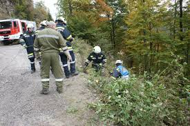 Aktuelle news zu unfällen in niederösterreich: Todlicher Unfall Im Alpinen Gelande 15 10 2015 Ff Tuernitz