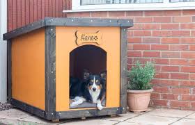 How do you build a large dog house? Diy Dog House Build Using Plywood The Carpenter S Daughter