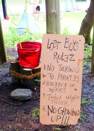 Lost Boys Rules Peter Pan Party 1st Boy Birthday Birthday Party 21