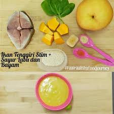 Kamu bisa membuat mpasi sendiri di rumah dengan resep menu mpasi untuk bayi usia. 15 Idea Resepi Bayi 7 Bulan Ke Atas Mudah Sedap Berkhasiat