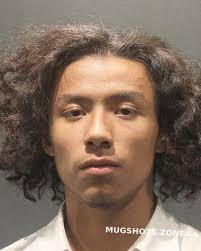 LOZA HERRERA ALEJANDRO 07/29/2024