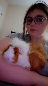 The cat likes to cozy up