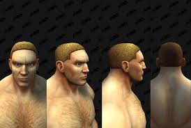 The stereotypical image of a 1960s beatnik often includes a soul patch. Shadowlands Alpha Build 34137 Character Customizations New Human Male Hairstyles Facial Hair Wowhead News
