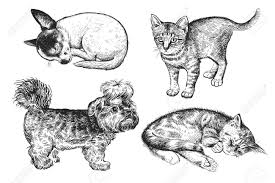 Scale to any size without loss of resolution. Cute Puppies And Kittens Set Home Pets Isolated On White Background Sketch Vector Illustration Art Realistic Portraits Of Animal Vintage Black And White Hand Drawing Of Dogs And Cats Royalty Free Cliparts