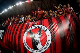 Club tijuana xoloitzcuintles de caliente official english language page. Xolos De Tijuana Announce A Plethora Of Talented Signings Viva Liga Mx