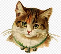 Check spelling or type a new query. Kucing Kucing Siam Lukisan Gambar Png