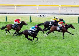 10:36 競馬オタクyoutubeチャンネル 3 957 просмотров. Qee Aujnixu2 M