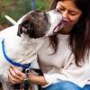 Story image for dog news articles from mindbodygreen.com