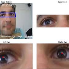 Eye and pupil detection