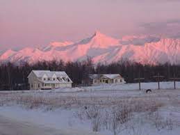 A last minute order by alaska's governor to speed delivery by adding extra relay teams robbed togo of his rightful place in dog history. Flowers By Louise Inc Home Facebook