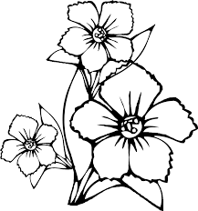 Set off fireworks to wish amer. Tropical Flower Coloring Pages Flower Coloring Pages Coloring Coloring Library