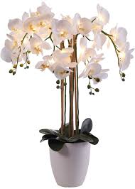 Commandez Maintenant Fleur Artificielle Led Orchidee Blanc A Partir De 159 99 Sur Bonprix Fr Orchidee Artificielle A Led Eclairee P Kunstblume Orchideen Led