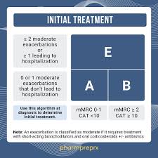 Image result for COPD Exacerbation Decision Tool