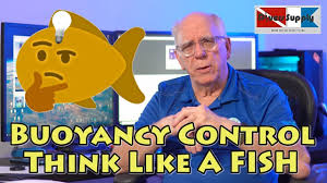 Fishing different rivers or even your home river continuously, helps the angler understand to an extent how to think like a trout. Buoyancy Control Think And Dive Like A Fish Youtube