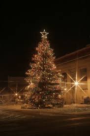 Christmas In Downtown Traverse City Christmas Tree Pictures Traverse City Christmas