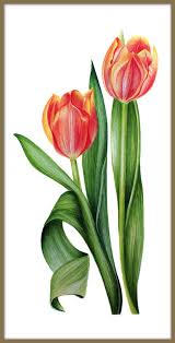 Tulip Flower Print Watercolour Painting Print Large Wall Art Decor Gift For Her Https Etsy Me 30n9wao Art Pr Tulip Painting Tulips Art Watercolor Tulips