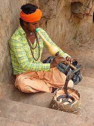 Snakes Agra India Snake Charmer India