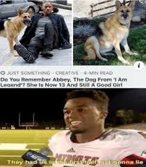 Class starts at 8am me at 12pmpic.twitter.com/wgmb89bu0y. 25 Best I Am Legend Memes But The Memes Abbey Memes I Am Memes