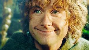 Pippin Took