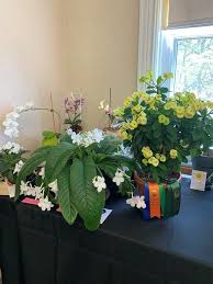 We did not find results for: Portsmouth Free Library Hosts On Broadway Flower Show News The Herald News Fall River Ma Fall River Ma
