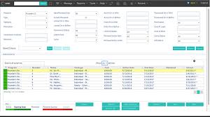 Salsa Crm