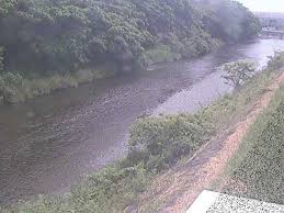 金目川（かなめがわ）は、神奈川県西部を流れ相模湾に注ぐ二級河川。 金目川 水系 の本流である。 平塚市上平塚の 渋田川 との合流点より下流は 花水川 と呼ばれる。 é‡'ç›®å· ä¸­é‡Œæ©‹ã®ãƒ©ã‚¤ãƒ–ã‚«ãƒ¡ãƒ© ç¥žå¥ˆå·çœŒç§¦é‡Žå¸‚