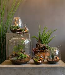 Gbp prices are indicative, correct euro pricing is shown in the checkout. Beruru On Twitter Terrariums Induce Life And Energy In Limited Spaces Explore The Entire Range At Our Stores Or Website Today Beruru Thegardenreserve Green Outdoors Garden Decor Bangalore Indoorjungle Homedecor Plants Planter