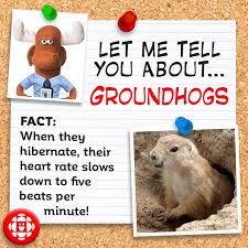 Alexander the great, isn't called great for no reason, as many know, he accomplished a lot in his short lifetime. 5 Fun Facts About Groundhogs Explore Awesome Activities Fun Facts Cbc Kids