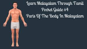 Free interactive exercises to practice online or download as pdf to print. Learn Malayalam Through Tamil Pocket Guide 4 Parts Of The Body In Malayalam Youtube
