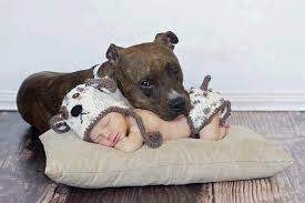 Why Kids Need Pets This Photo Is A Must Take With Baby And Riley Dog Friends Animals For Kids Pets
