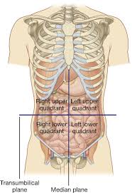 An abdominal aortic aneurysm is a swelling of the largest blood vessel in the body (the aorta) inside the abdomen. Abdomen Clinical Gate