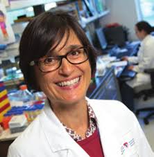 RI Annual Report 2019