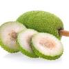 Bentuk buah, rasa dan keharumannya seperti nangka, meski. 1