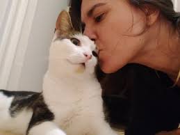 Lost Cat in Wichita Kansas