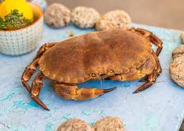 Comment cuire un crabe, tourteau ou dormeur vivant ? Tourteau Ou Crabe Cuit Livraison De Fruits De Mer Vivants Ou Cuits Directement Chez Vous En 24h O Poisson
