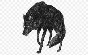 Indominus rex oh, indominus wasn't bred. Gray Wolf Art Drawing Derek Hale Png 500x512px Gray Wolf Aesthetics Art Black Wolf Carnivoran Download