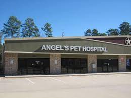 Maybe you would like to learn more about one of these? Angel S Pet Hospital Home Facebook