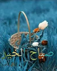 pin by هبة ابو النيل on greetings dua good morning flowers good morning arabic morning greeting