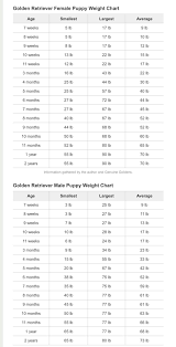 Gr Puppy Growth Chart Puppy Growth Chart Dog Weight Chart