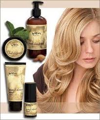 Formulated with a unique blend of restorative botanicals, extracts, and argan oil, this replenishing treatment wen® cleansing conditioner is a revolutionary new concept in hair care. Wen Hair Products Review Wen Hair Products Wen Hair Care Hair