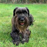 40+ "Hildreth" profiles