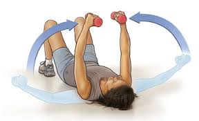 Image Result For Dumbbell Flys On Floor Fitness Dumbbell Workout Easy Workouts