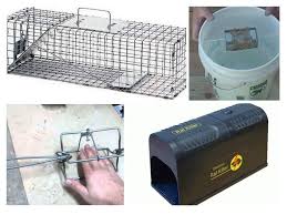 Perangkap tikus yang akan saya bawakan kali ini dijamin aman dan murah. Perangkap Tikus Diy Cara Membuat Perangkap